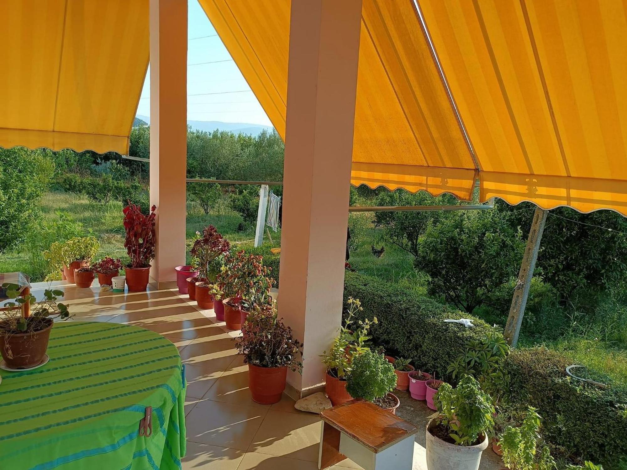 Guest House Fetie Berat Kültér fotó